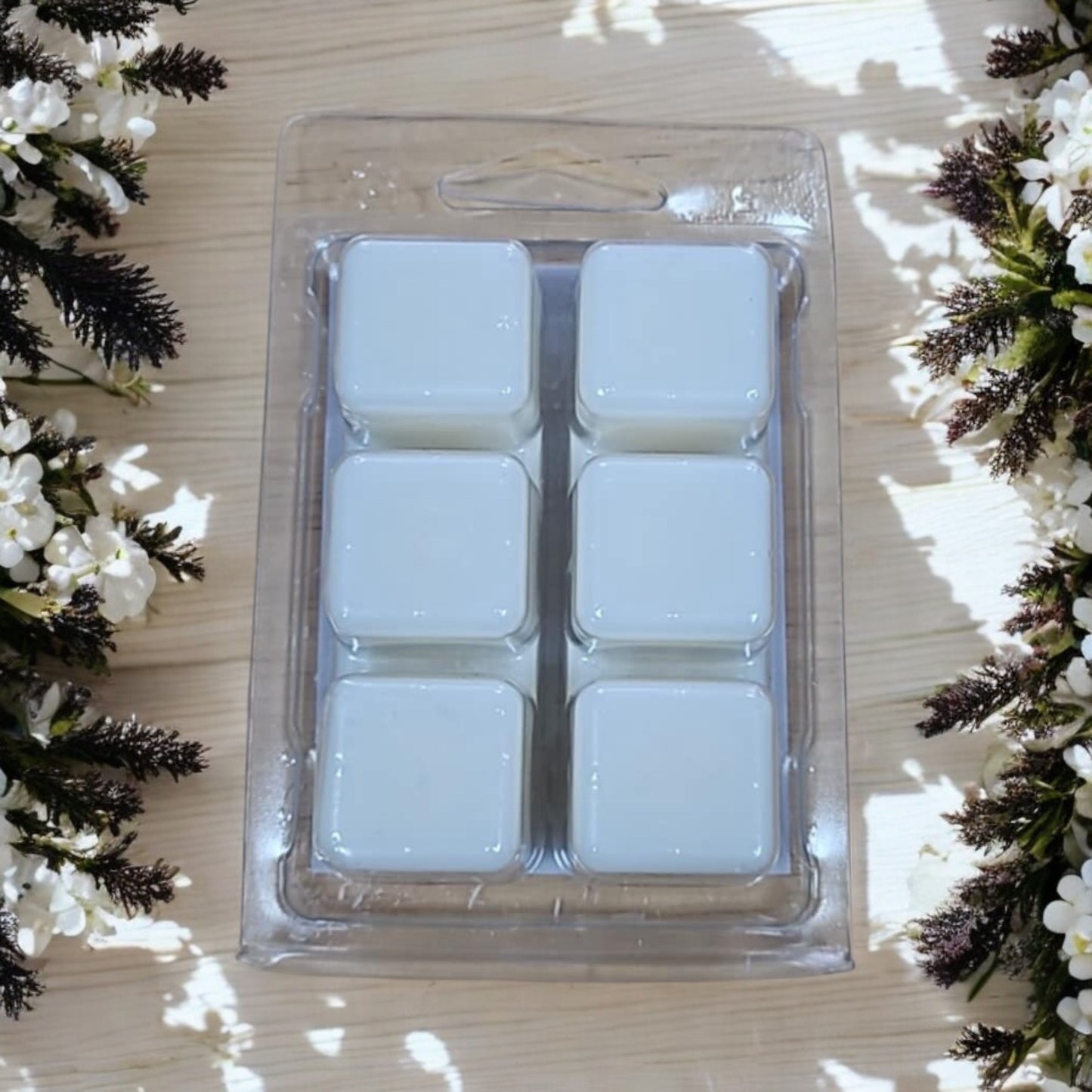 6 Cube Large Clamshell Scents