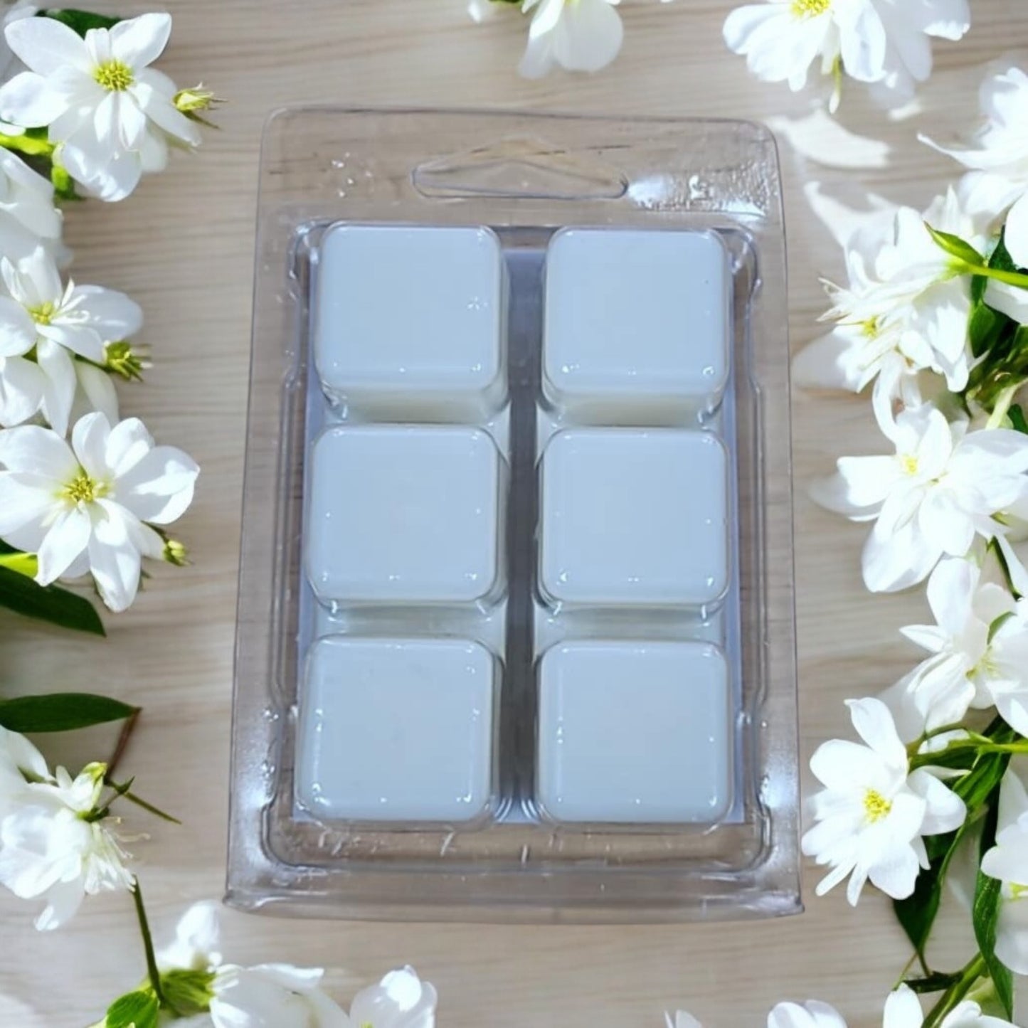 6 Cube Large Clamshell Scents