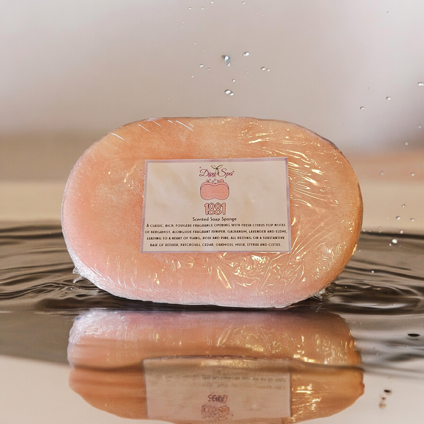 1881 soap sponge