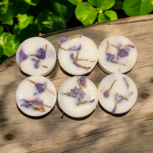 6 Botanical Infused Dome Melts (Winter Scents)