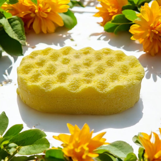 Bella Soap Sponge