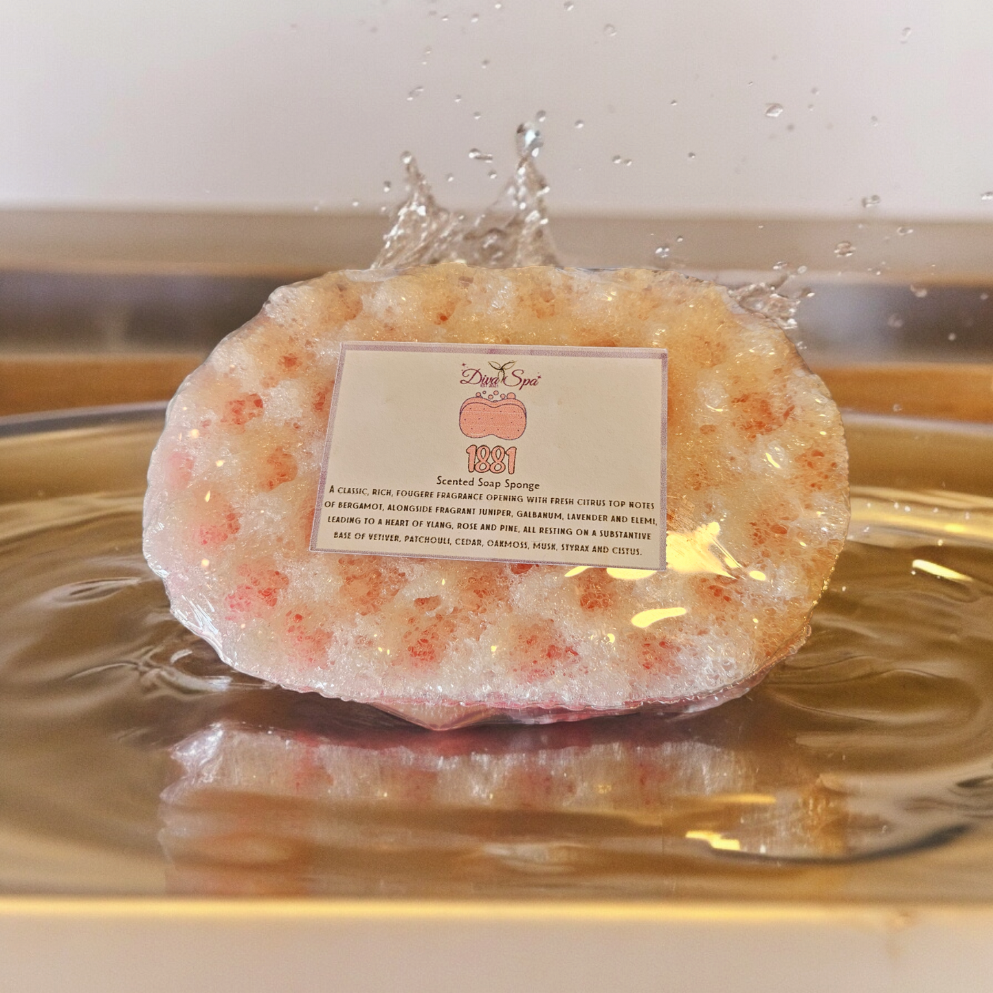 1881 soap sponge