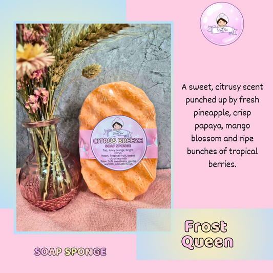 Luxury Large Exfoliating Soap Sponge