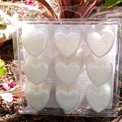 Bugs Away Pack - Citronella Wax Melts Set